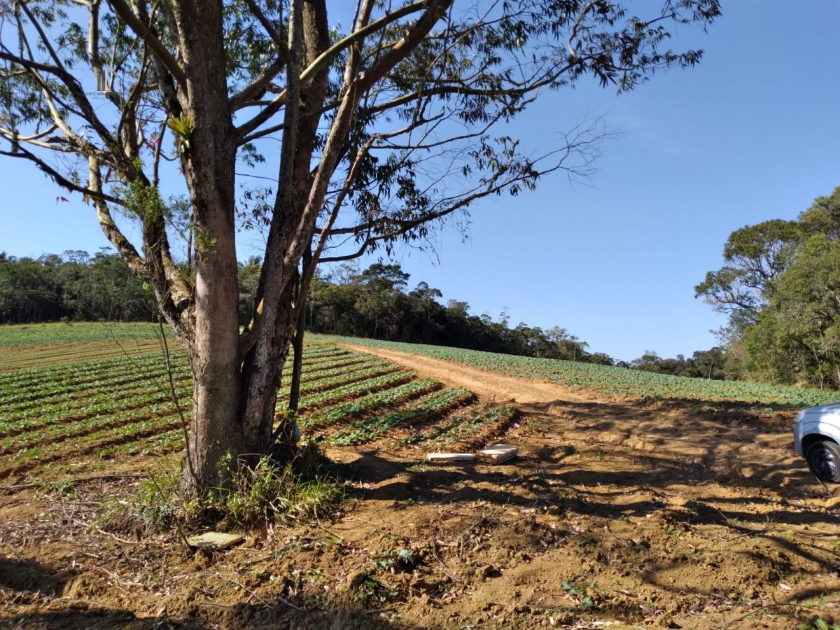 Fazenda à venda com 8 quartos, 266200m² - Foto 27