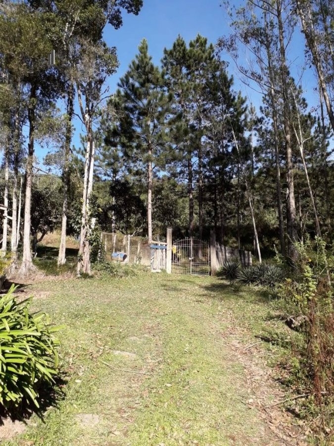 Fazenda à venda com 8 quartos, 266200m² - Foto 44