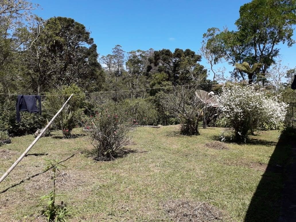 Fazenda à venda com 8 quartos, 266200m² - Foto 39