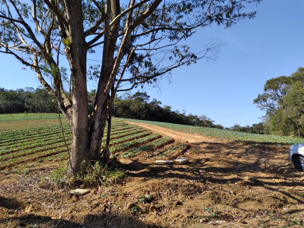 Fazenda à venda com 8 quartos, 266200m² - Foto 29