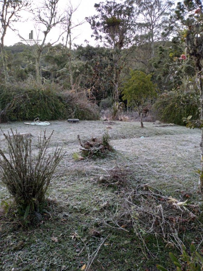 Fazenda à venda com 8 quartos, 266200m² - Foto 19