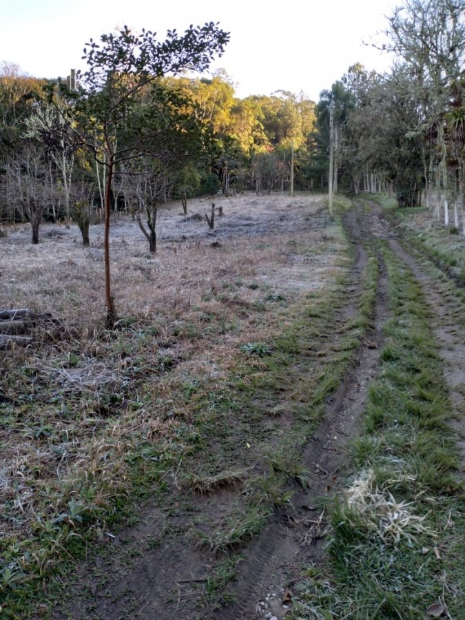 Fazenda à venda com 8 quartos, 266200m² - Foto 15