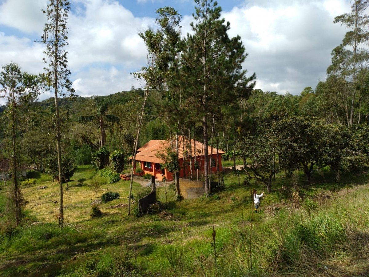 Fazenda à venda com 8 quartos, 266200m² - Foto 2