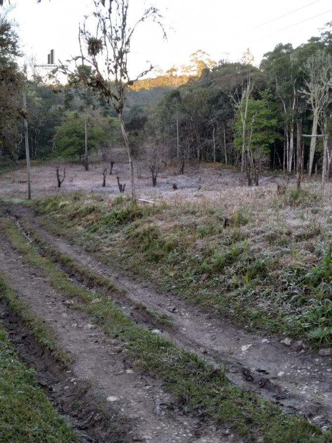 Fazenda à venda com 8 quartos, 266200m² - Foto 23