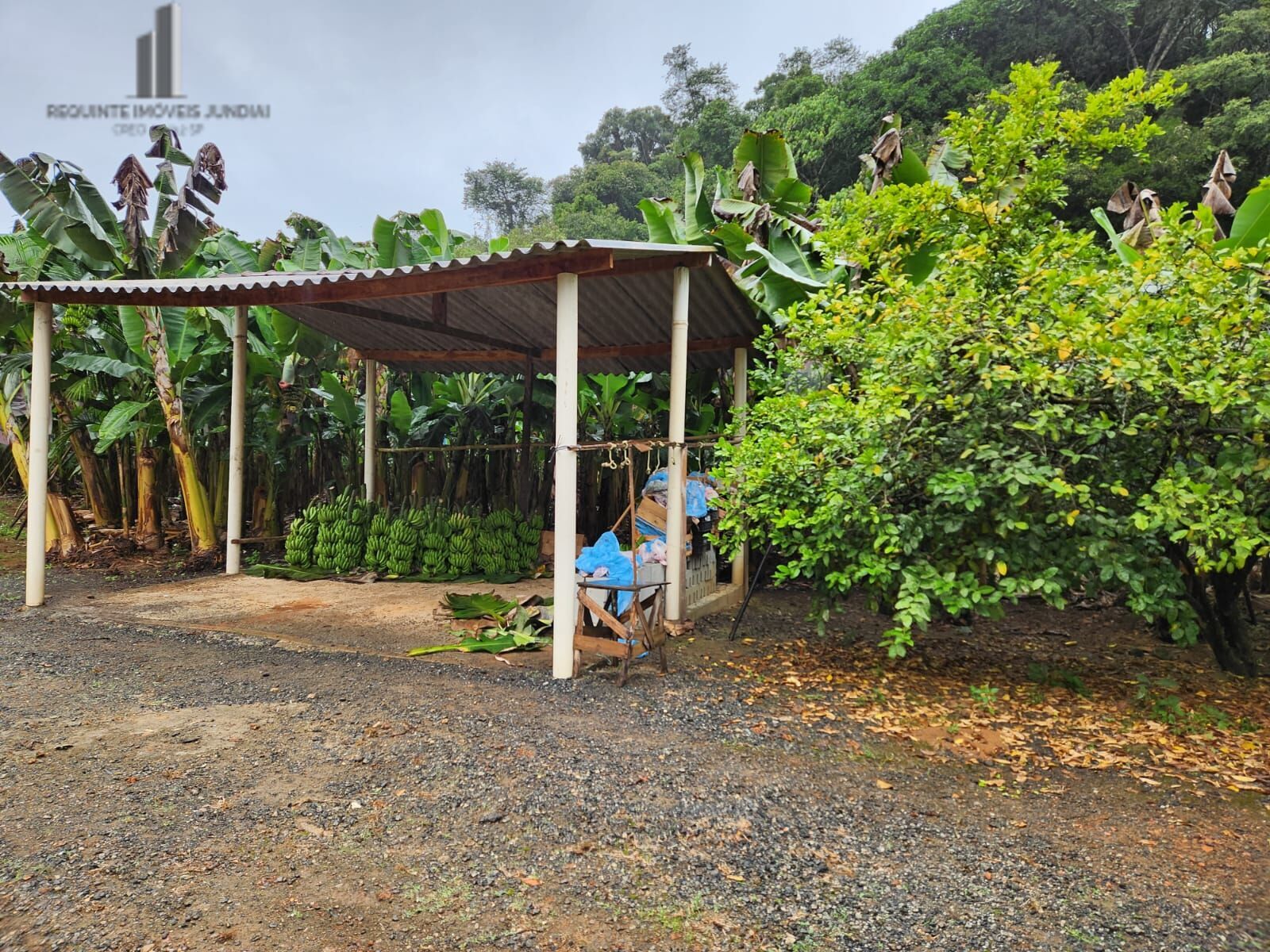 Fazenda à venda com 2 quartos, 145000m² - Foto 21