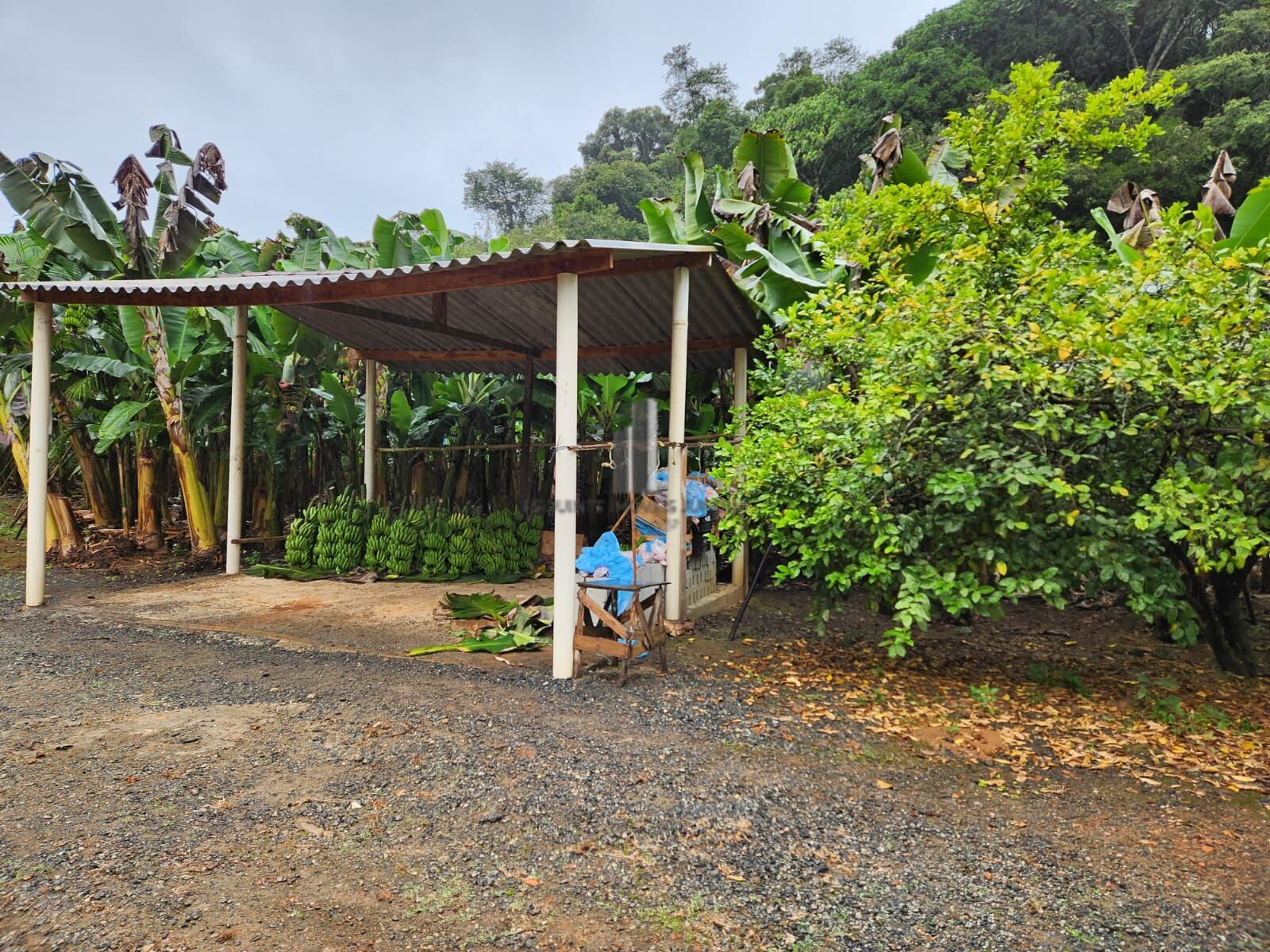 Fazenda à venda com 2 quartos, 145000m² - Foto 21