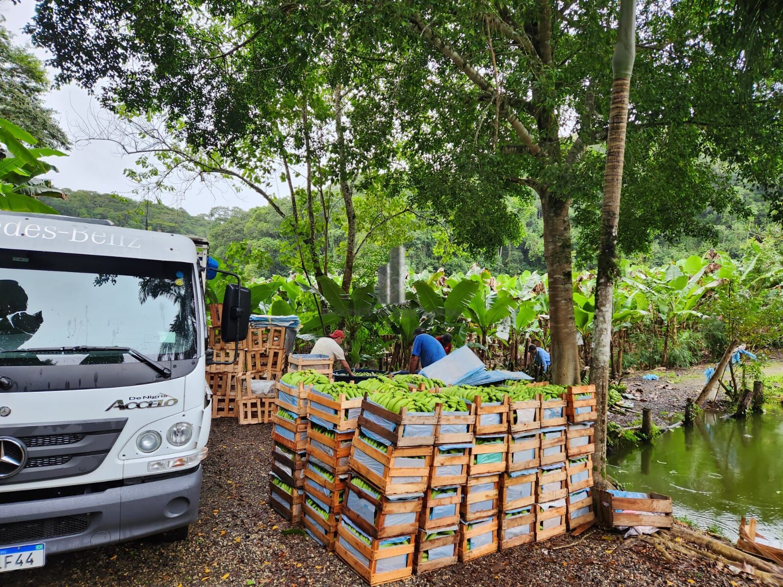 Fazenda à venda com 2 quartos, 145000m² - Foto 13