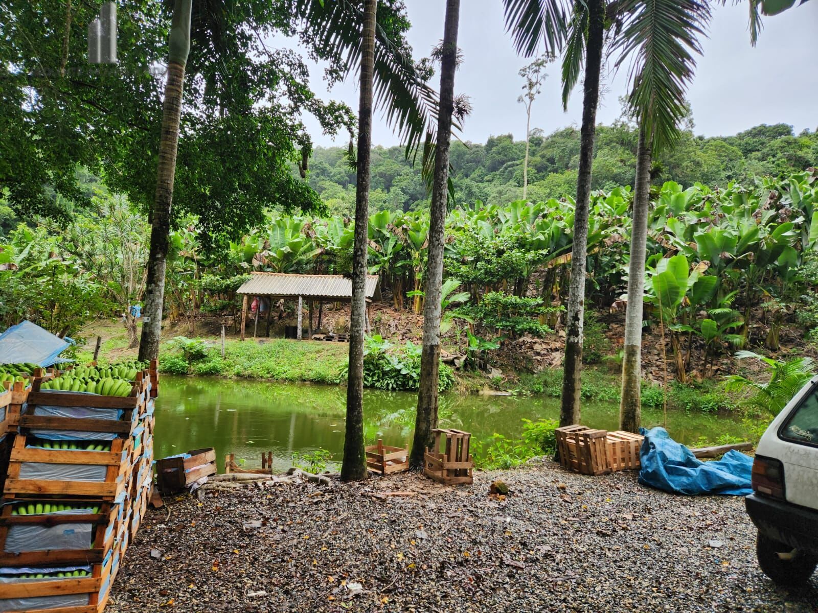 Fazenda à venda com 2 quartos, 145000m² - Foto 2