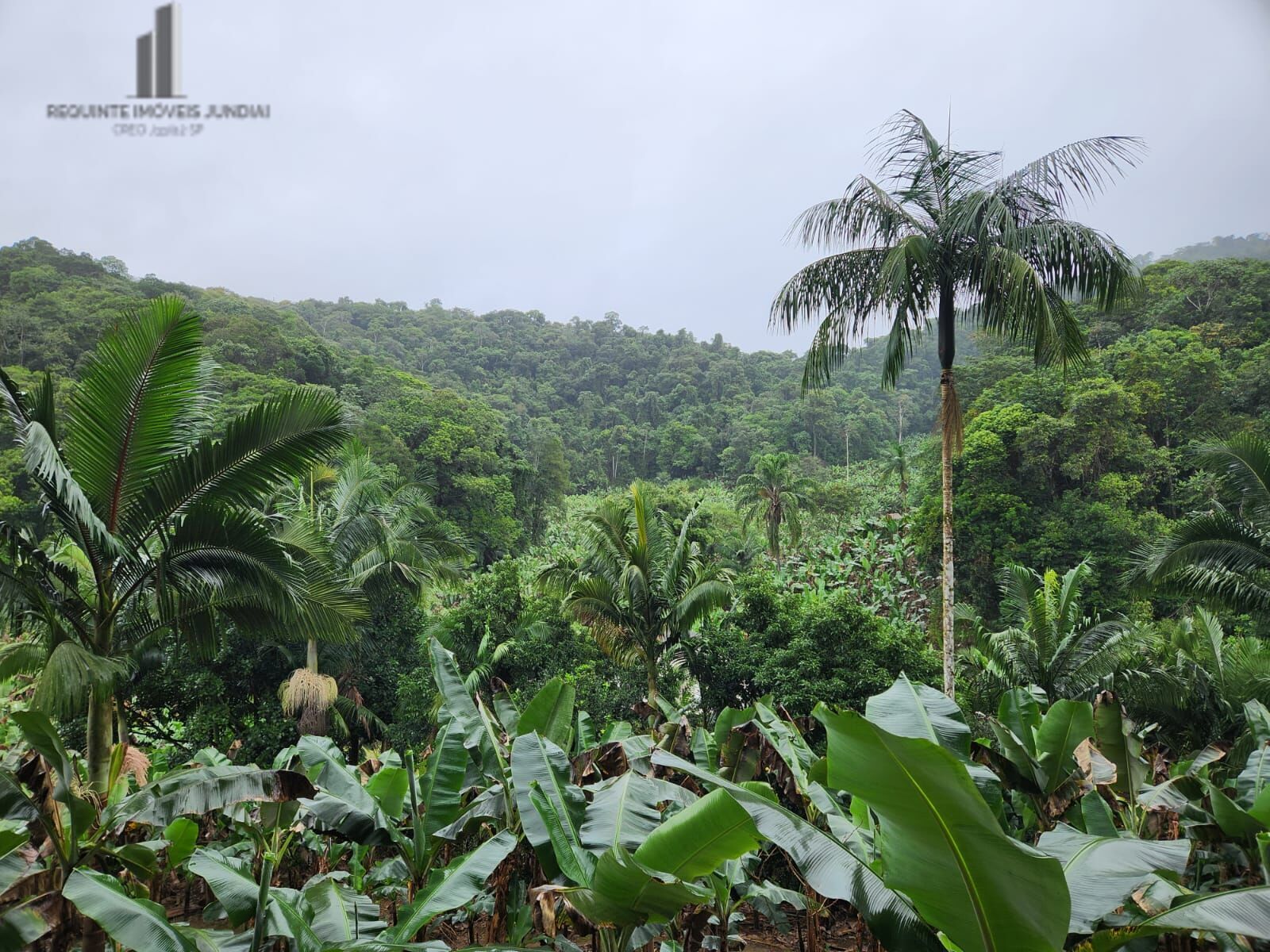 Fazenda à venda com 2 quartos, 145000m² - Foto 6