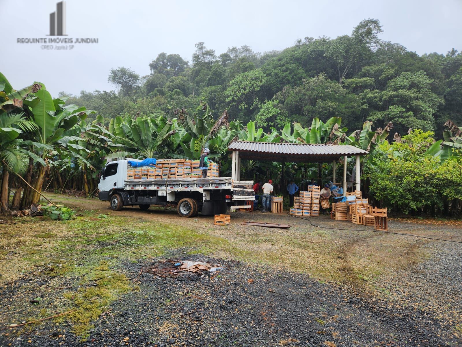 Fazenda à venda com 2 quartos, 145000m² - Foto 3