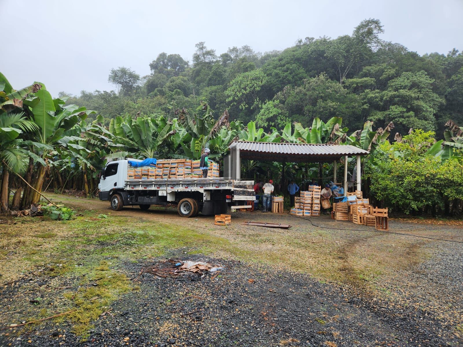 Fazenda à venda com 2 quartos, 145000m² - Foto 3