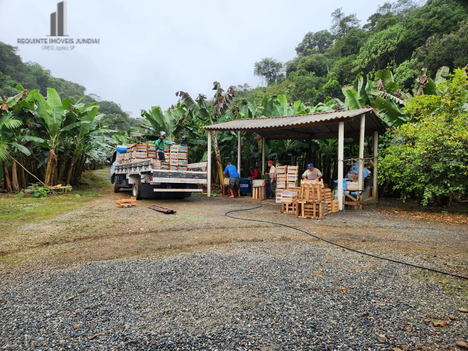 Fazenda à venda com 2 quartos, 145000m² - Foto 5