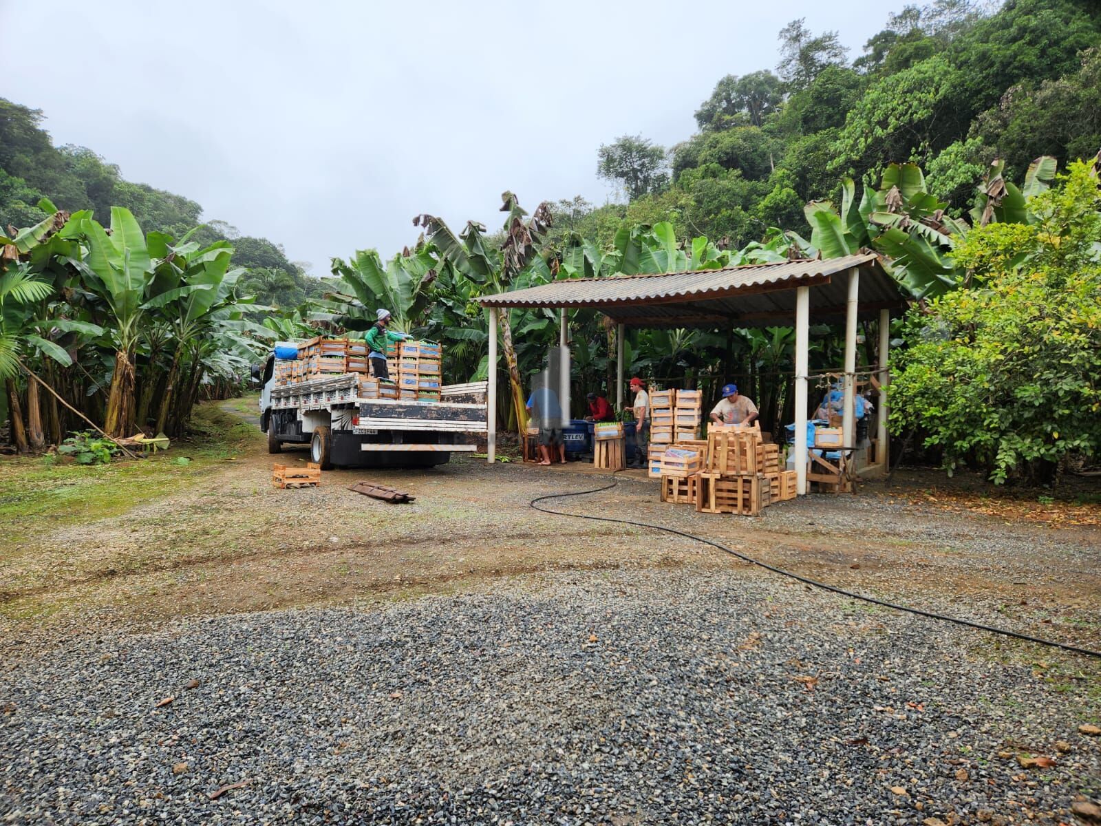 Fazenda à venda com 2 quartos, 145000m² - Foto 5