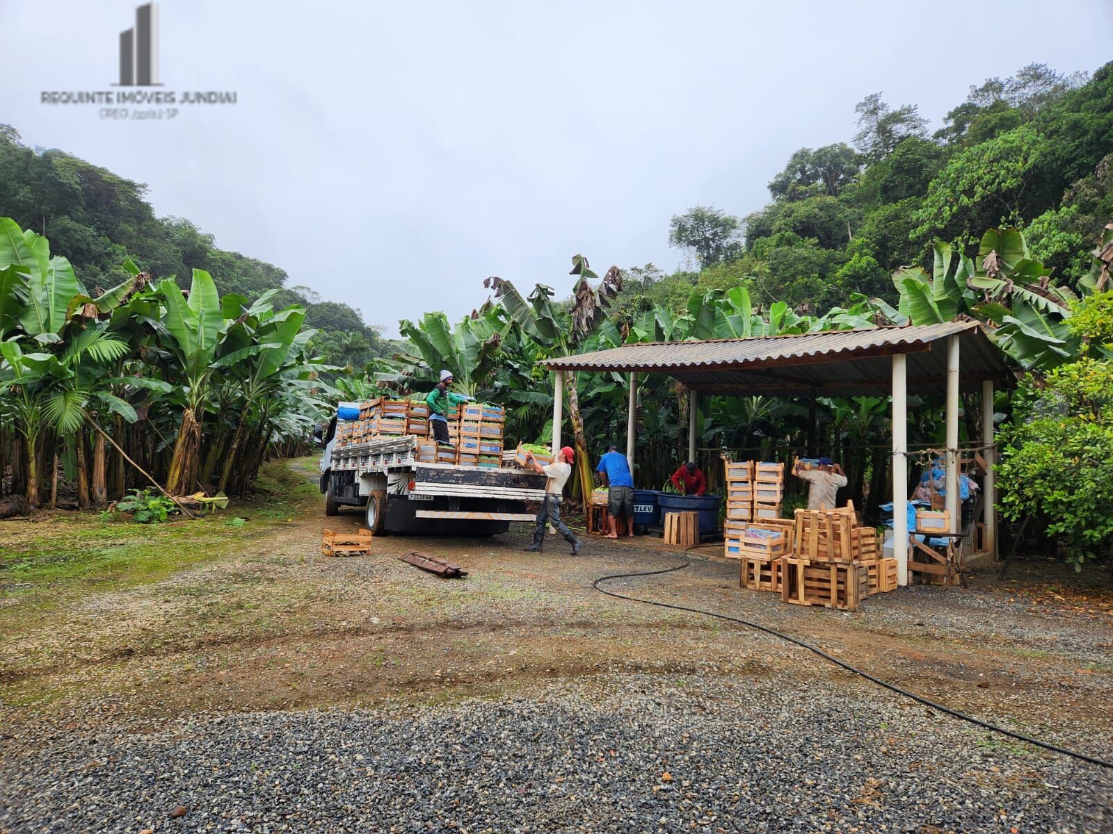 Fazenda à venda com 2 quartos, 145000m² - Foto 4