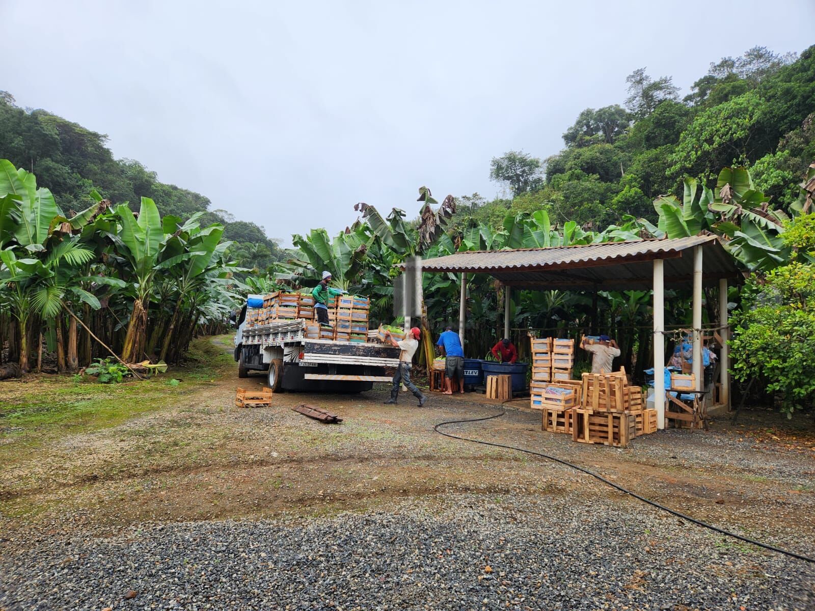 Fazenda à venda com 2 quartos, 145000m² - Foto 4