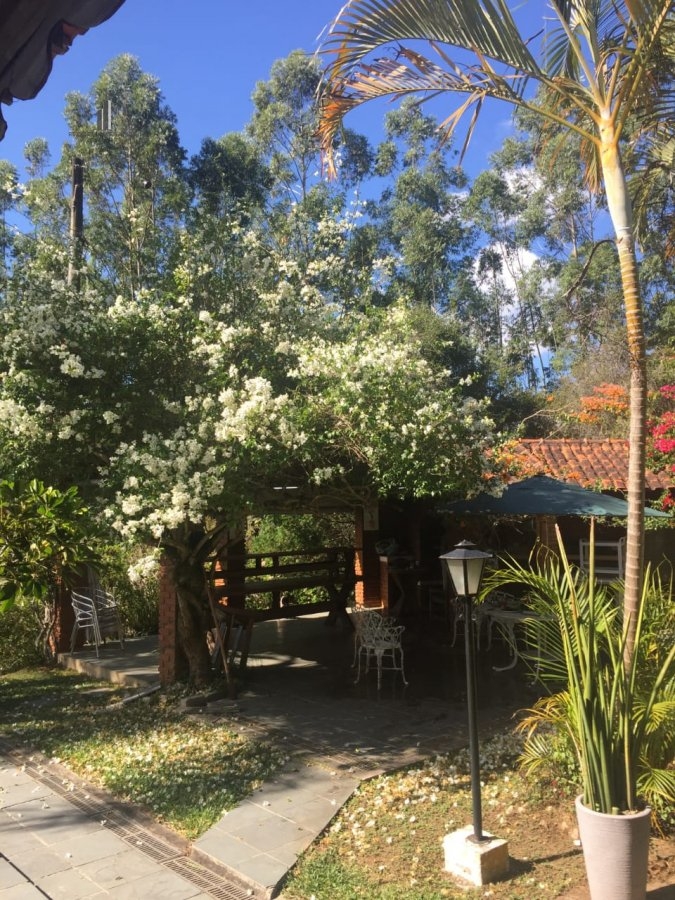 Fazenda à venda com 6 quartos, 800m² - Foto 6