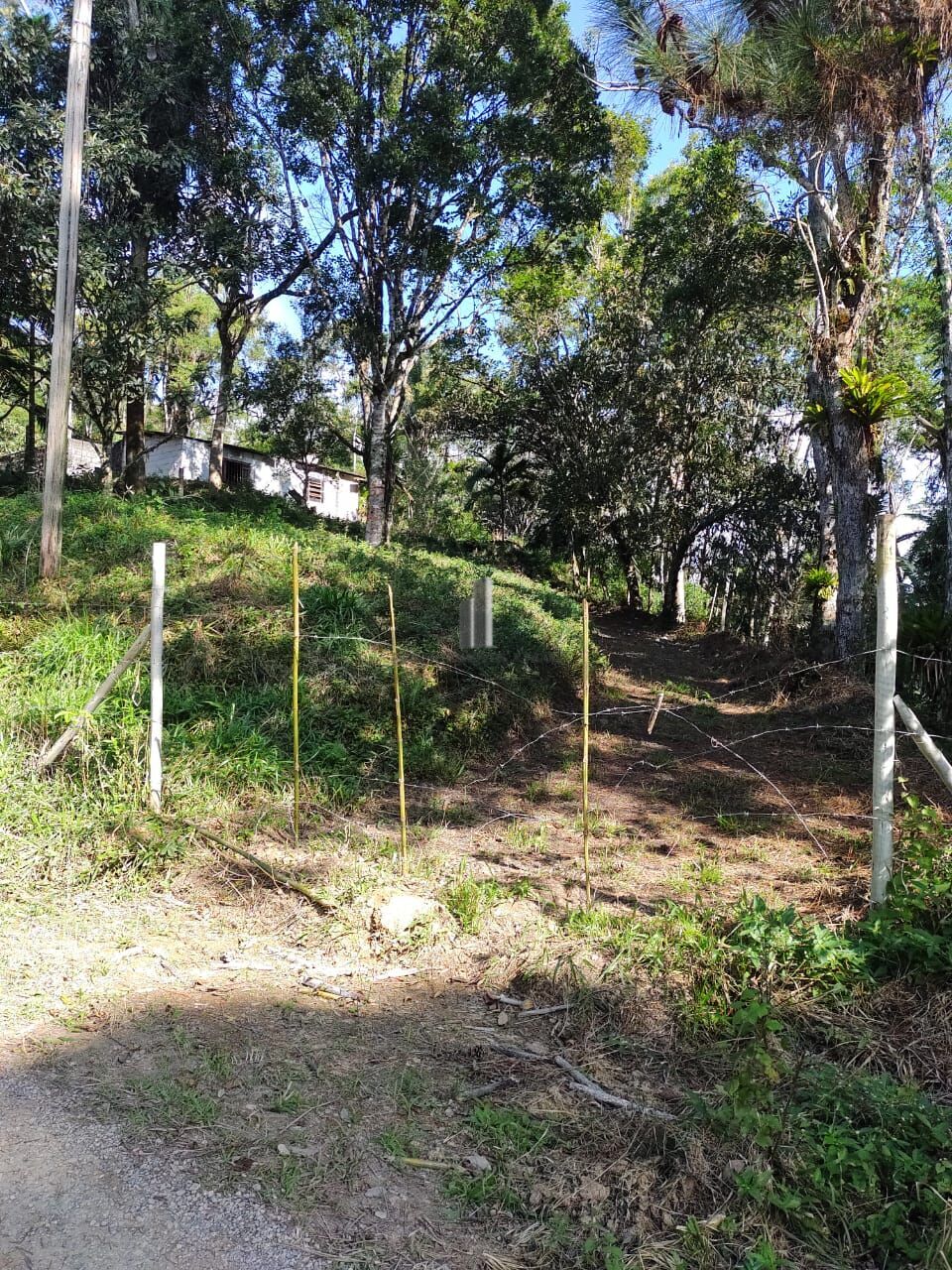 Sítio à venda com 3 quartos, 30000m² - Foto 2