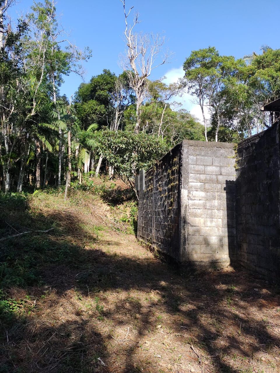 Sítio à venda com 3 quartos, 30000m² - Foto 6