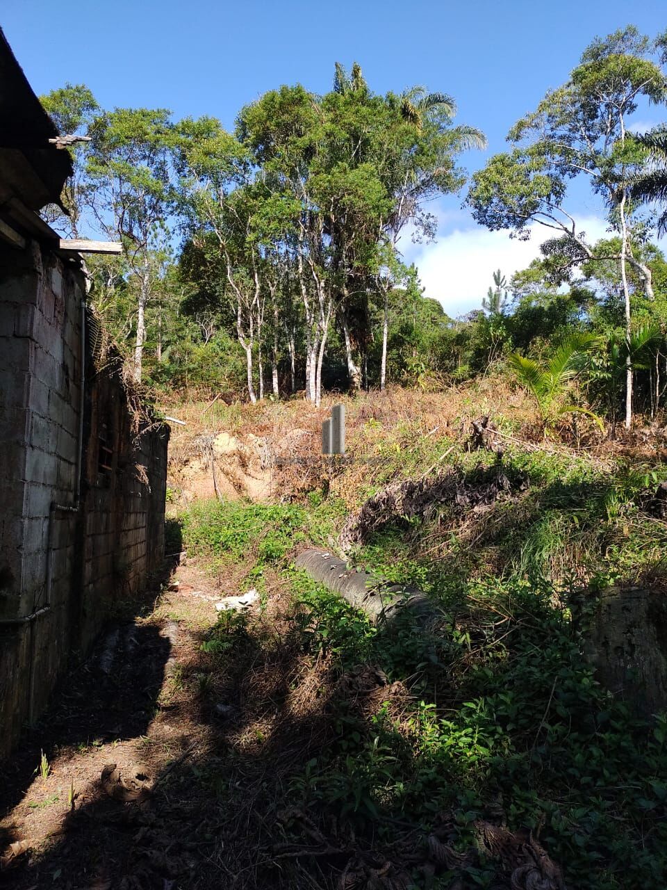Sítio à venda com 3 quartos, 30000m² - Foto 4