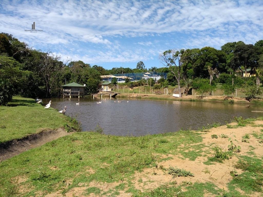 Fazenda à venda com 2 quartos, 19000m² - Foto 2