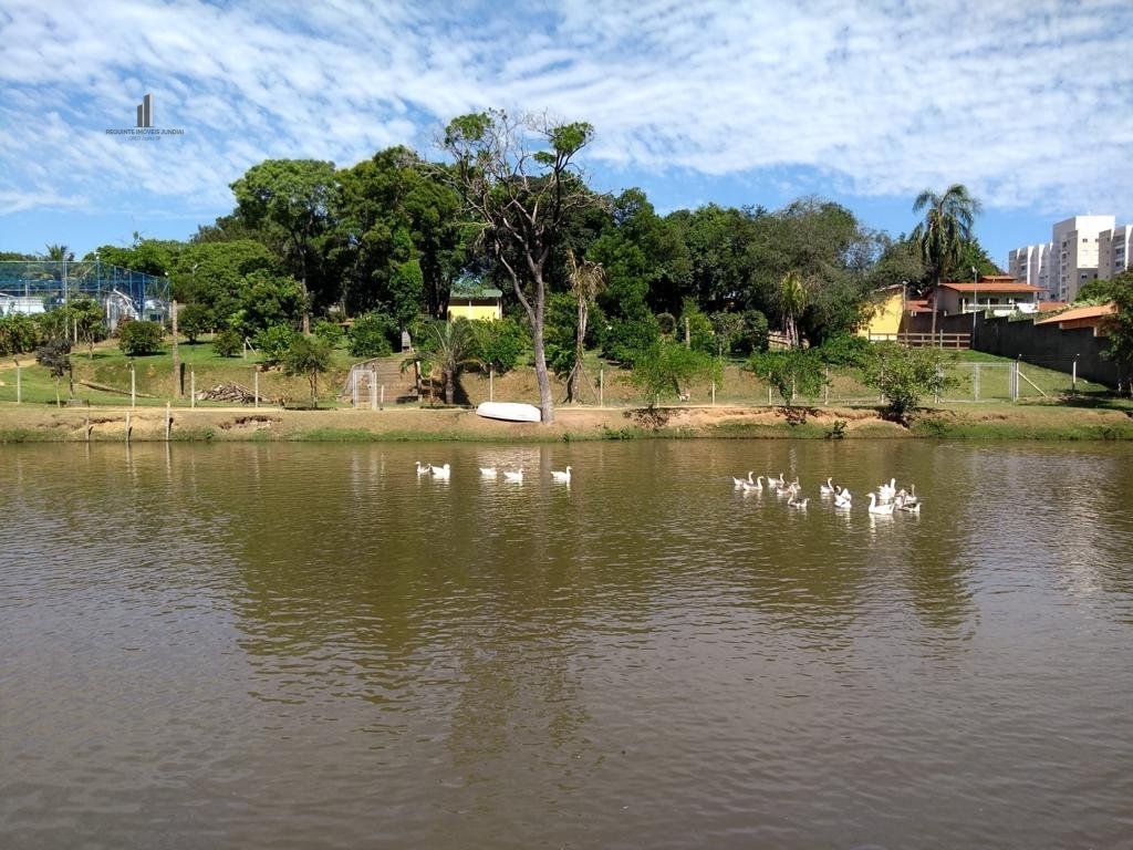 Fazenda à venda com 2 quartos, 19000m² - Foto 4