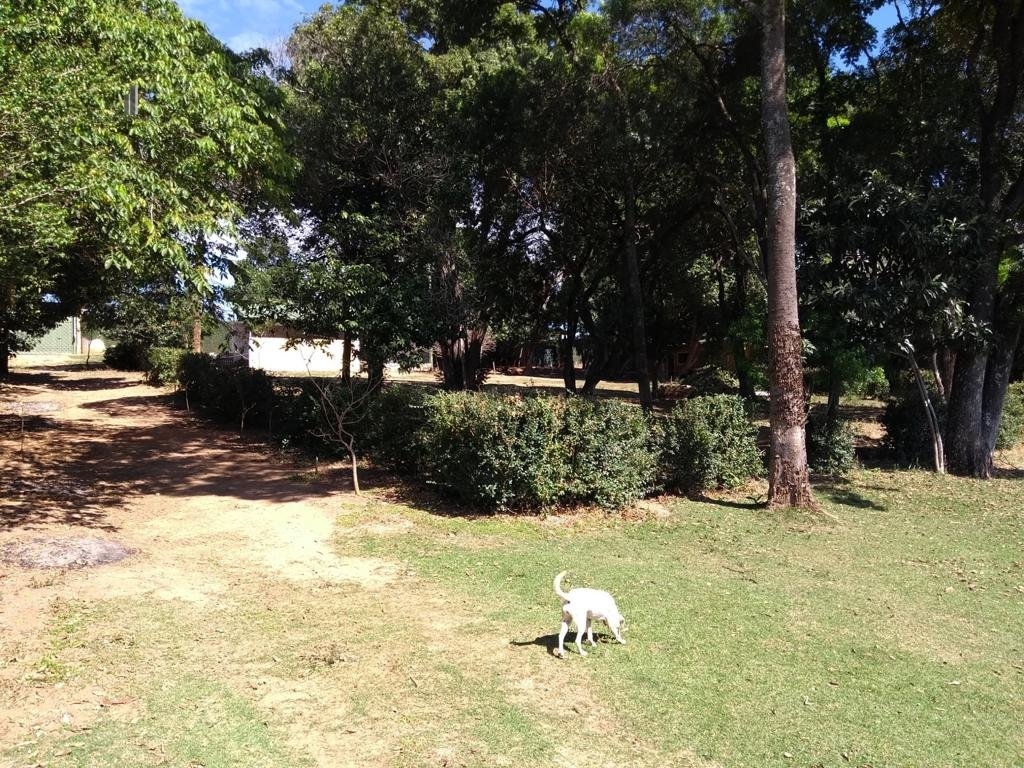 Fazenda à venda com 2 quartos, 19000m² - Foto 12