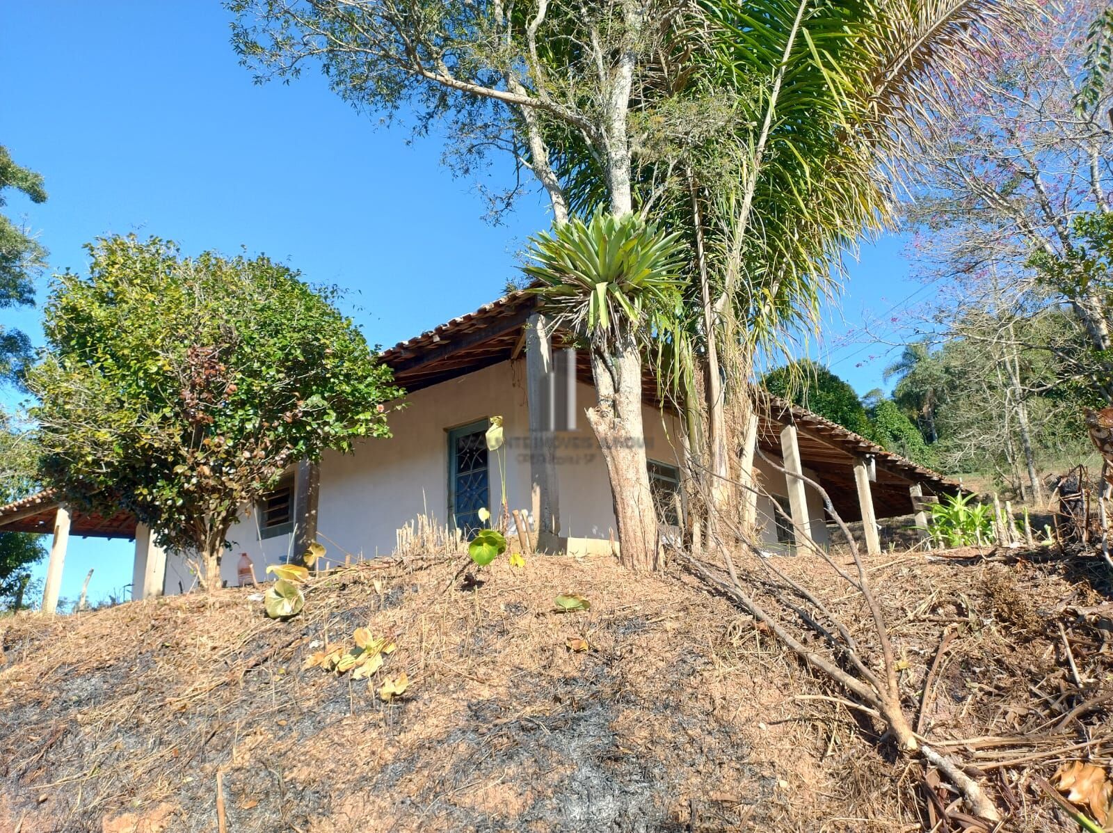 Sítio à venda com 3 quartos, 96800m² - Foto 8