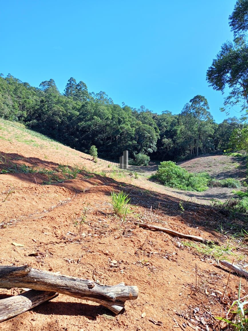 Sítio à venda com 3 quartos, 96800m² - Foto 7