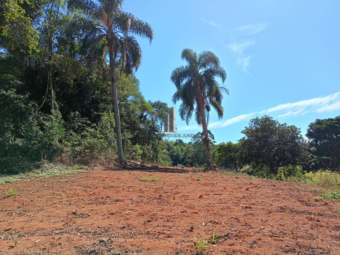 Sítio à venda com 3 quartos, 96800m² - Foto 6