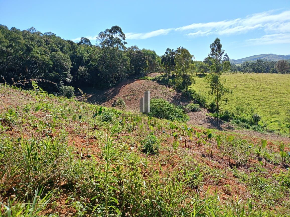 Sítio à venda com 3 quartos, 96800m² - Foto 2