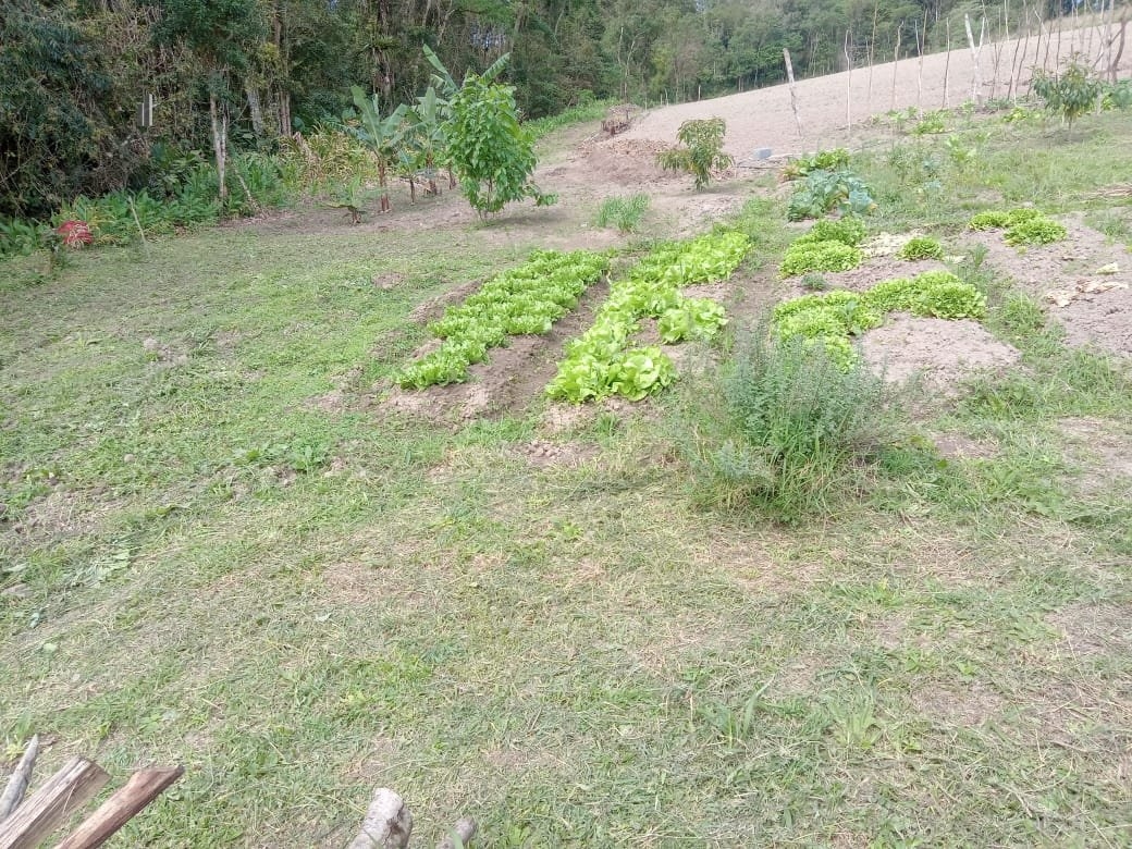 Fazenda à venda com 2 quartos, 3500m² - Foto 14