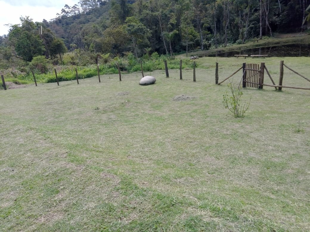 Fazenda à venda com 2 quartos, 3500m² - Foto 3