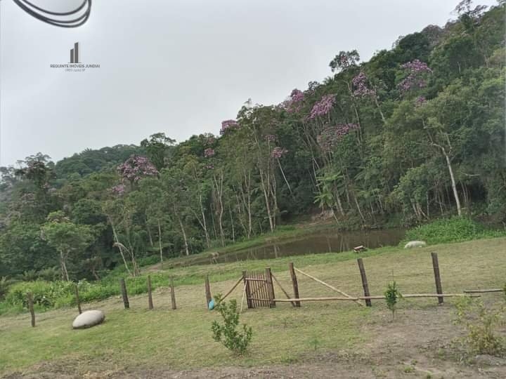 Fazenda à venda com 2 quartos, 3500m² - Foto 2