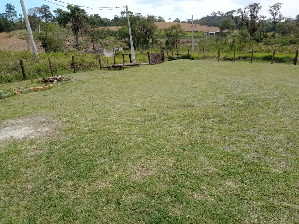 Fazenda à venda com 2 quartos, 3500m² - Foto 11