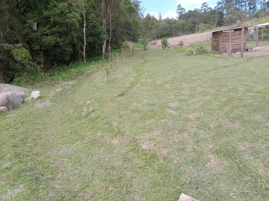 Fazenda à venda com 2 quartos, 3500m² - Foto 7