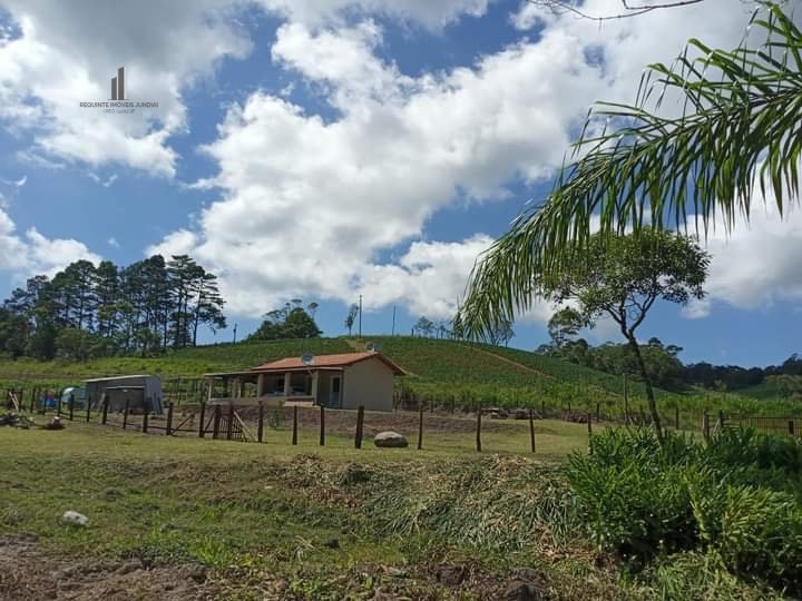 Fazenda à venda com 2 quartos, 3500m² - Foto 21