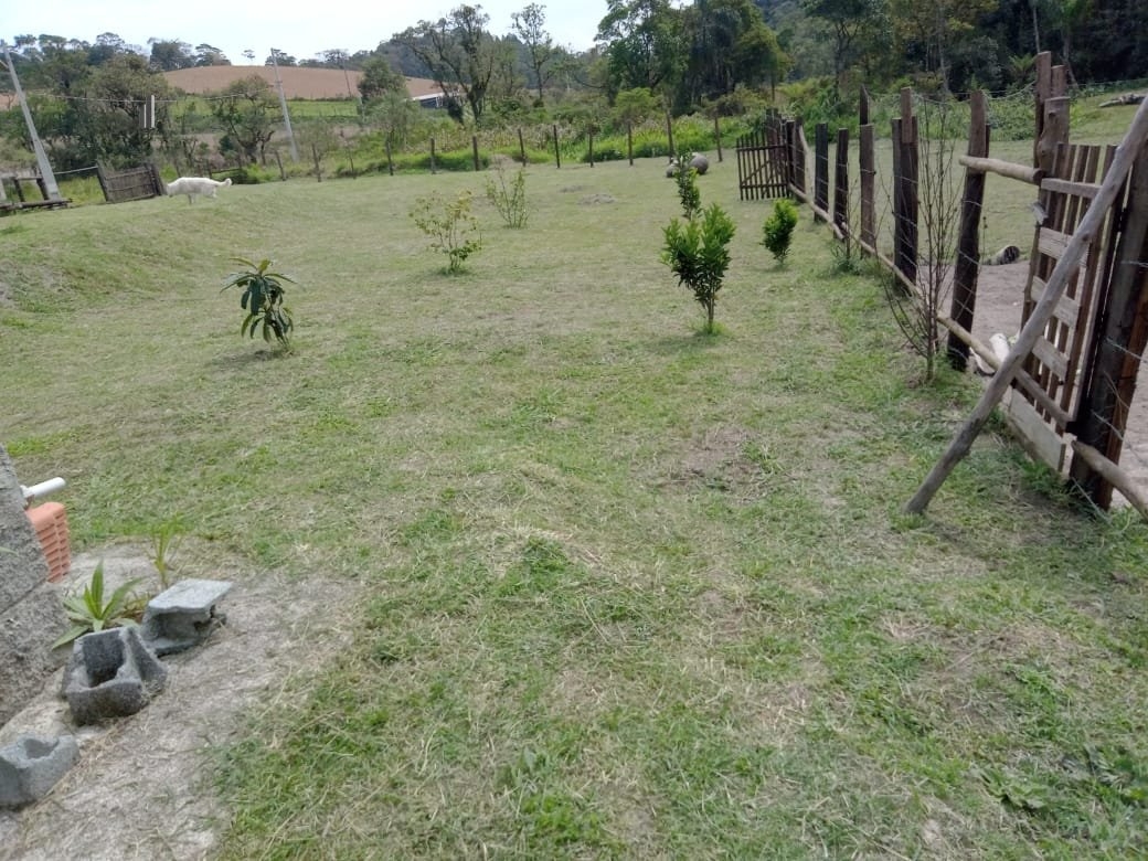 Fazenda à venda com 2 quartos, 3500m² - Foto 8