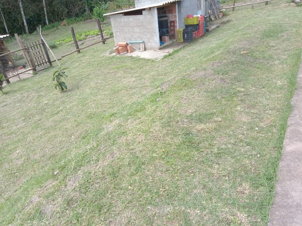 Fazenda à venda com 2 quartos, 3500m² - Foto 9