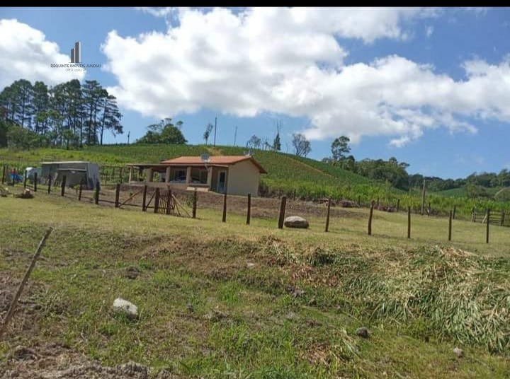 Fazenda à venda com 2 quartos, 3500m² - Foto 20