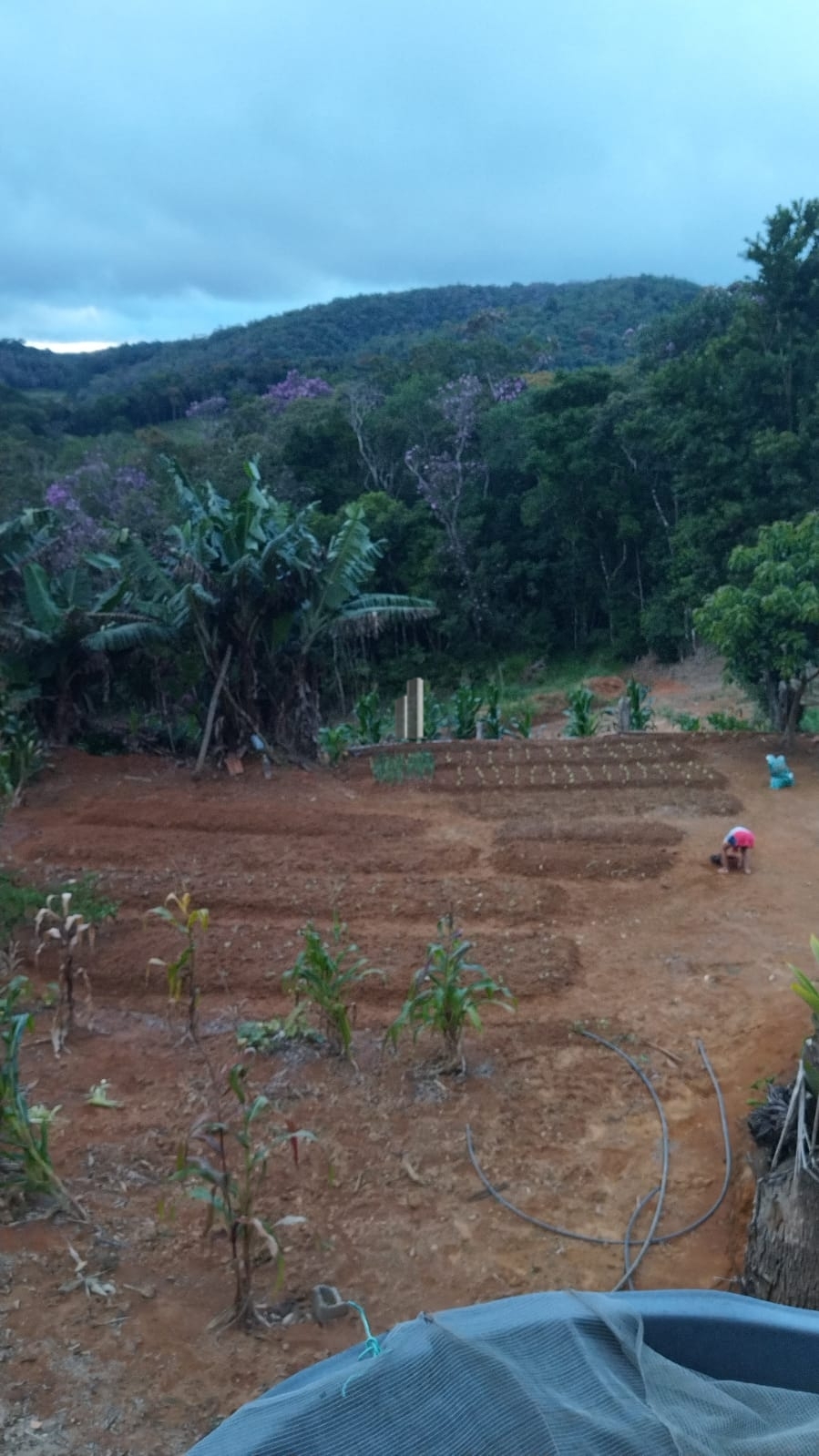 Fazenda à venda com 3 quartos, 1250m² - Foto 24