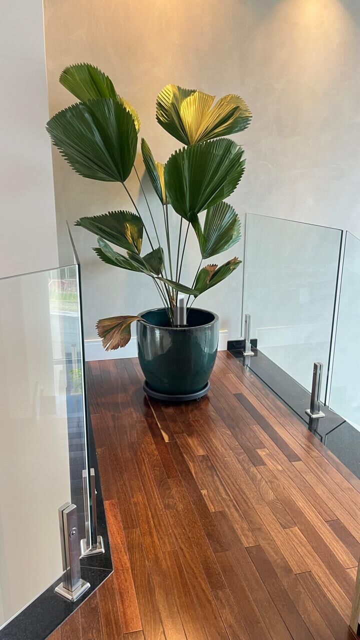 Casa, 3 quartos, 281 m² - Foto 24