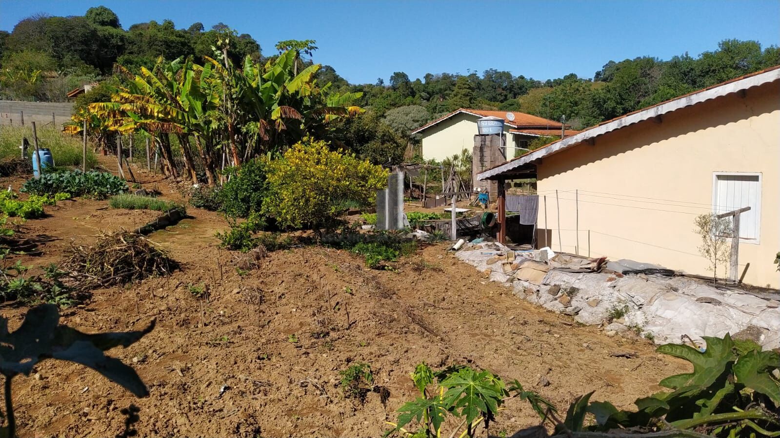 Fazenda à venda com 2 quartos, 1128m² - Foto 5