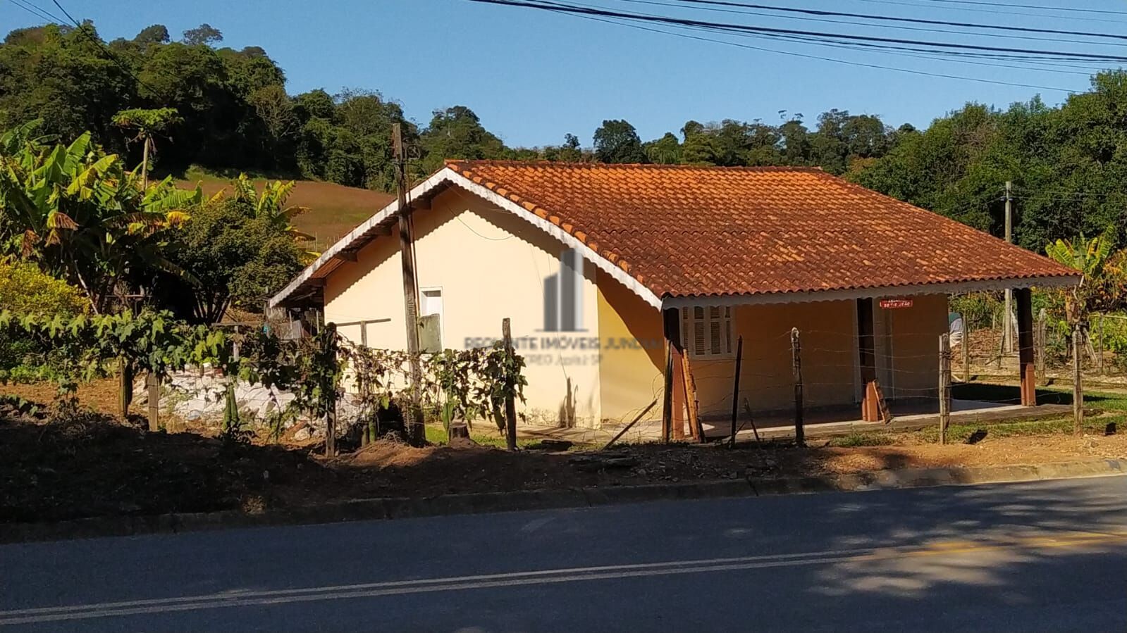 Fazenda à venda com 2 quartos, 1128m² - Foto 2