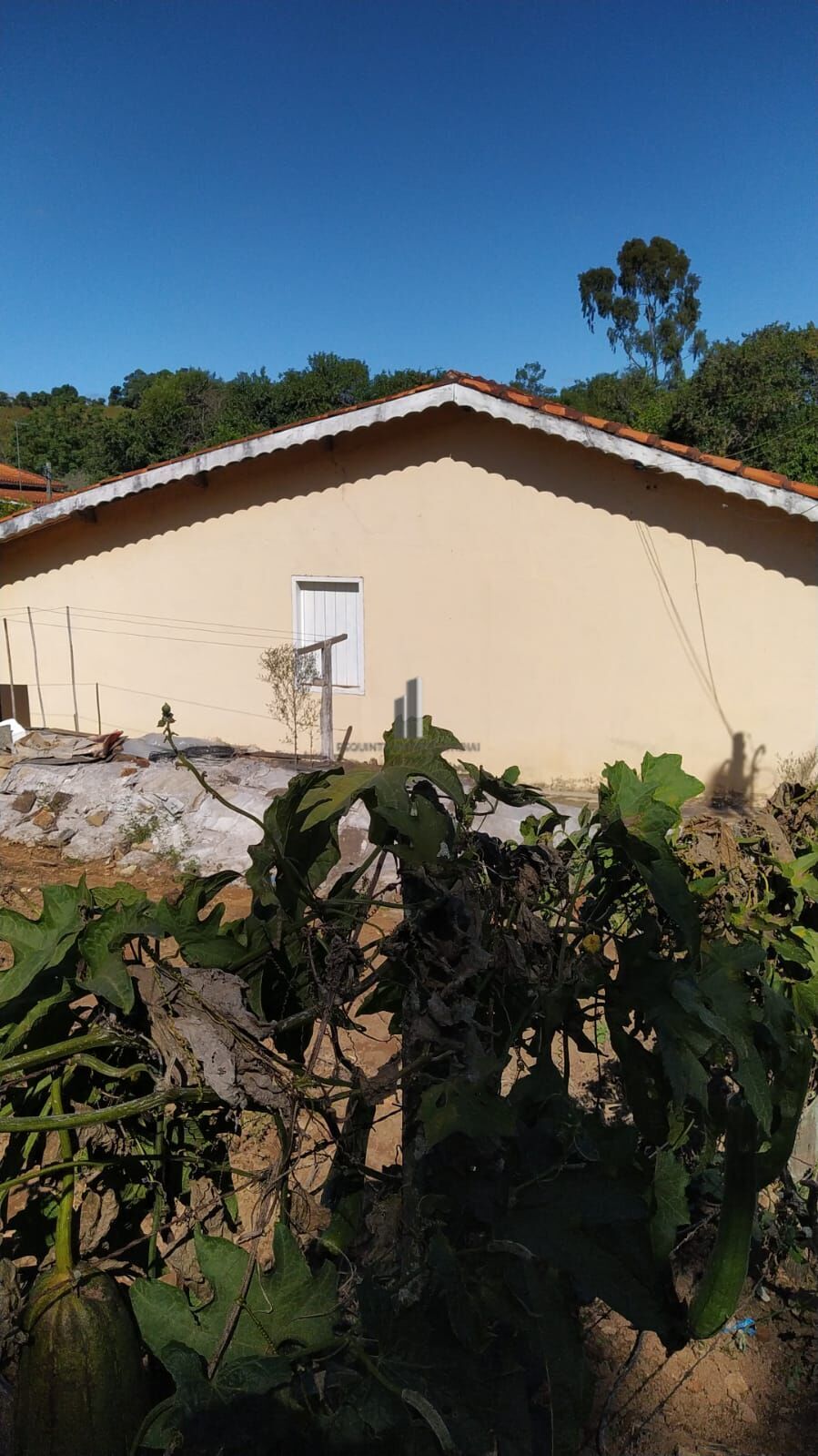 Fazenda à venda com 2 quartos, 1128m² - Foto 8