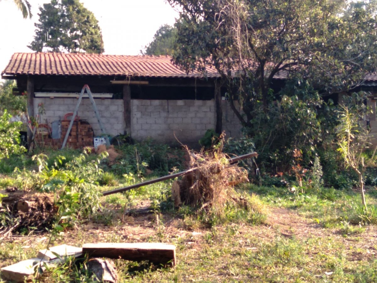 Fazenda à venda com 4 quartos, 8300m² - Foto 6