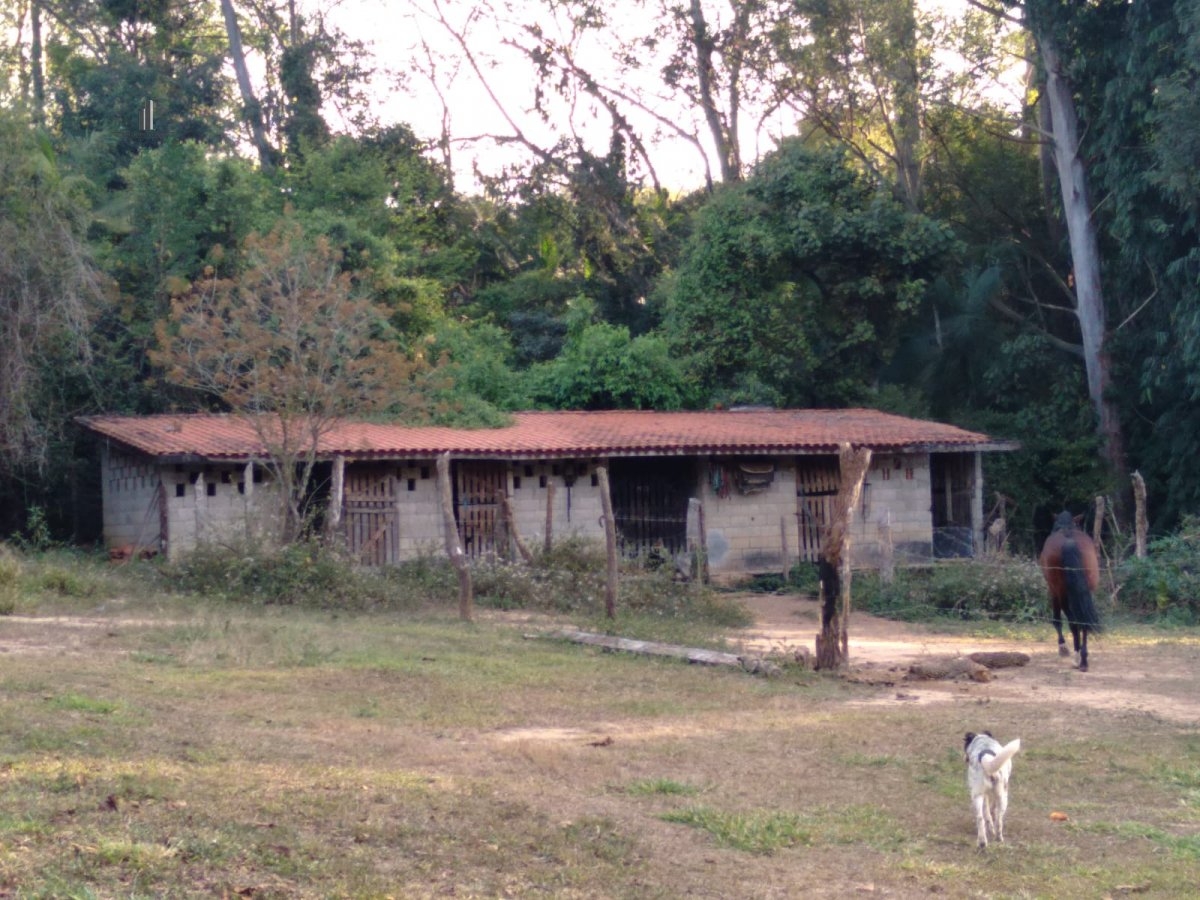 Fazenda à venda com 4 quartos, 8300m² - Foto 5