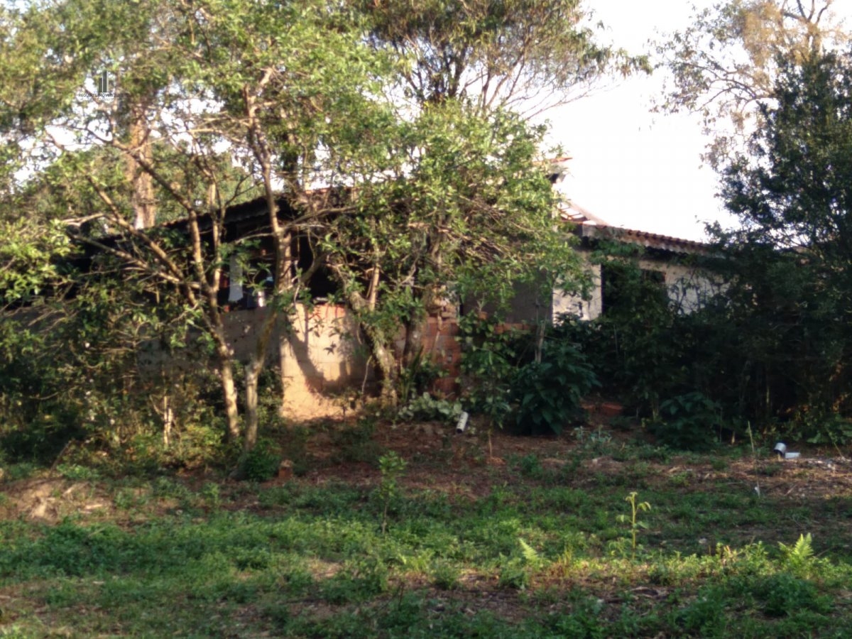 Fazenda à venda com 4 quartos, 8300m² - Foto 7