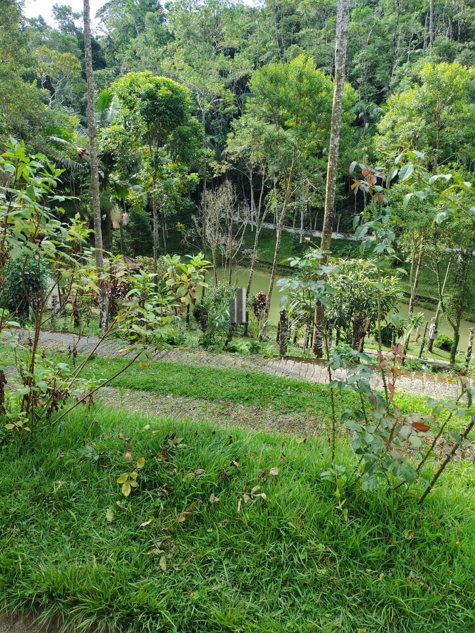 Fazenda à venda com 5 quartos, 121000m² - Foto 2