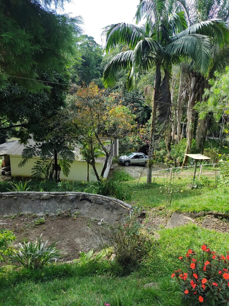 Sítio, 5 quartos, 12 hectares - Foto 5