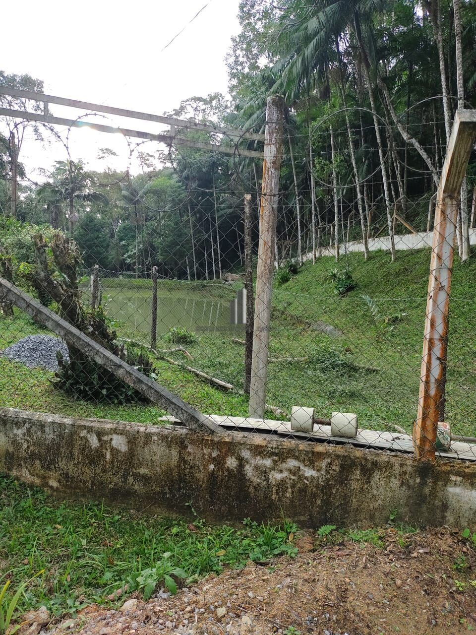 Sítio, 5 quartos, 12 hectares - Foto 13